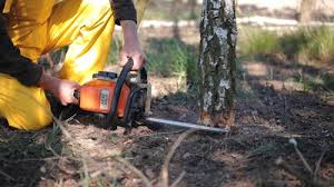 Soil Testing and Treatment in Laurel Hollow, NY